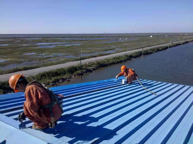 金乡钢结构屋面漏水原因